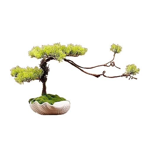 Künstliche Pflanzen Simuliertes Bonsai-Dekorationsset Kleine Pflanzen Wohnzimmer-Desktop-Dekoration Falsche Kiefer Keramik-Blumentopf Bonsai-Kiefer-C-Gray Künstliche Pflanzen Simuliertes Bonsai-Dekorationsset Kleine Pflanzen Wohnzimmer-Desktop-Dekoration Falsche Kiefer Keramik-Blumentopf Bonsai-Kiefer-C-Gray von GLETSF