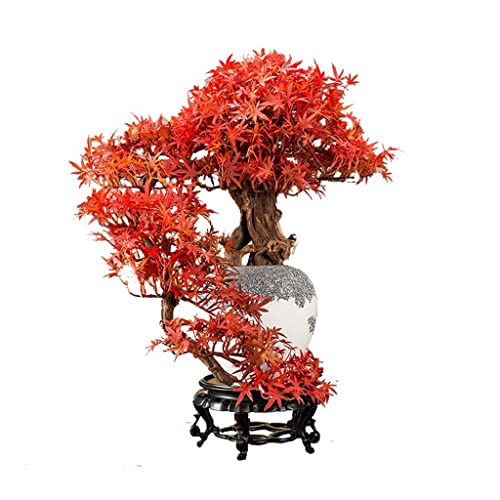 Künstlicher Kleiner Bonsai-Baum, Künstliche Pflanze, Kiefern-Bonsai, Rotes Ahornblatt, Mikrolandschaft, Geeignet Für Dekorative Ornamente Im Innen- Und Außenbereich, Wohn Künstlicher Kleiner Bonsai-Baum, Künstliche Pflanze, Kiefern-Bonsai, Rotes Ahornblatt, Mikrolandschaft, Geeignet Für Dekorative Ornamente Im Innen- Und Außenbereich, Wohn von GLETSF
