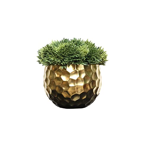 Pflanzensimulation Bonsai Thuja Blatt Grüne Pflanze Goldene Blume Gerät Home Wohnzimmer Büro Desktop Topf Kleine Ornamente Pflanzensimulation Bonsai Thuja Blatt Grüne Pflanze Goldene Blume Gerät Home Wohnzimmer Büro Desktop Topf Kleine Ornamente von GLETSF