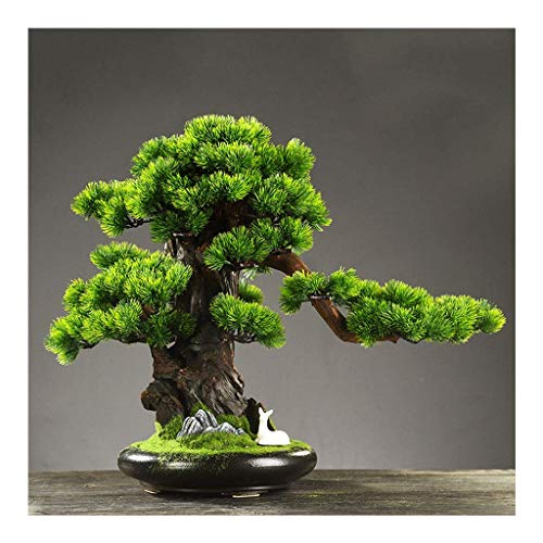 Simulationsbaum Bonsai 19,68 Zoll Simulation Bonsai Simulationsbaum Willkommenskiefer Outdoor Garten Home Office Dekoration Simulationsbaum Künstliche Kunstpflanze Künstl-E Simulationsbaum Bonsai 19,68 Zoll Simulation Bonsai Simulationsbaum Willkommenskiefer Outdoor Garten Home Office Dekoration Simulationsbaum Künstliche Kunstpflanze Künstl-E von GLETSF