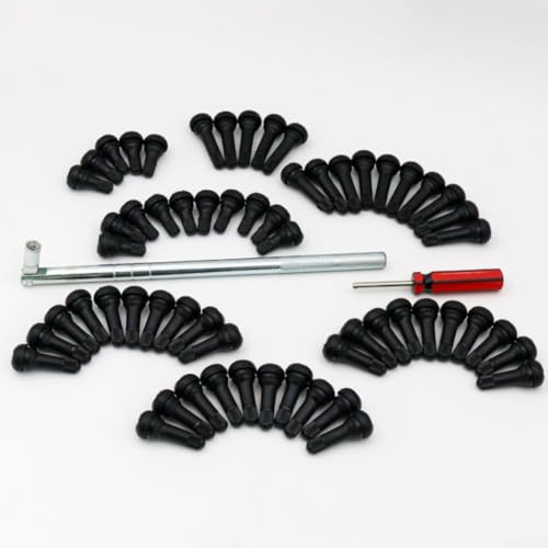 62-teiliges Reifenventil-Abzieher-Set mit EPDM-Ventilschäften und Ventilkernentferner-Werkzeug für schlauchlose Reifenwartung an Autos, LKWs, Motorrädern, Geländefahrzeugen und Rasenmähern von GLFLOW