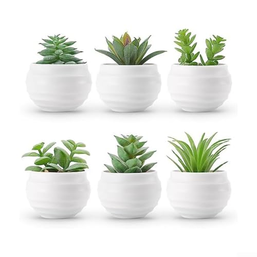 GLFLOW Künstliche Sukkulenten Pflanzen Set von 6 in Mini-Töpfen für Innendekoration und Büroschreibtisch, grüne Kunstpflanzen, Sukkulenten GLFLOW Künstliche Sukkulenten Pflanzen Set von 6 in Mini-Töpfen für Innendekoration und Büroschreibtisch, grüne Kunstpflanzen, Sukkulenten von GLFLOW