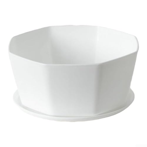Set mit 4 runden Sukkulententententöpfen mit Drainage, perfekt für den Anbau und die Präsentation von Pflanzen im Innen- und Außenbereich (groß) von GLFLOW
