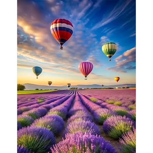 GLIDIAM 40x50cm Diamond Painting Blumen Lavendel, Diamant Malerei Bilder Heißluftballon, DIY Full Drill Basteln Erwachsene, Mosaik Stickerei Kreuzstich Geschenk für Wanddeko Wohnzimmer Schlafzimmer von GLIDIAM