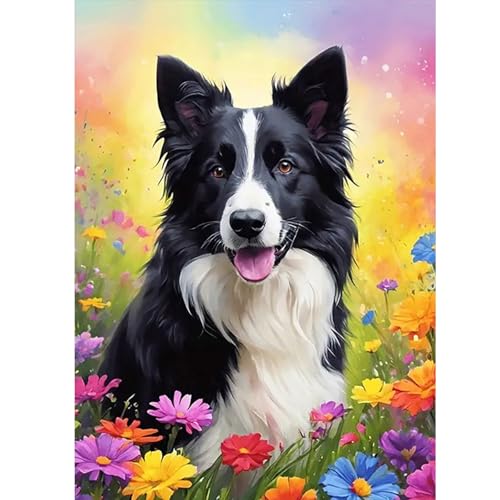 GLIDIAM Diamond Painting Hund Schäferhund, Diamant Malerei Bilder Tiere Blumen, 30x40cm DIY Full Drill Basteln Erwachsene, Mosaik Stickerei Kreuzstich Geschenk für Wanddeko Wohnzimmer Schlafzimmer von GLIDIAM