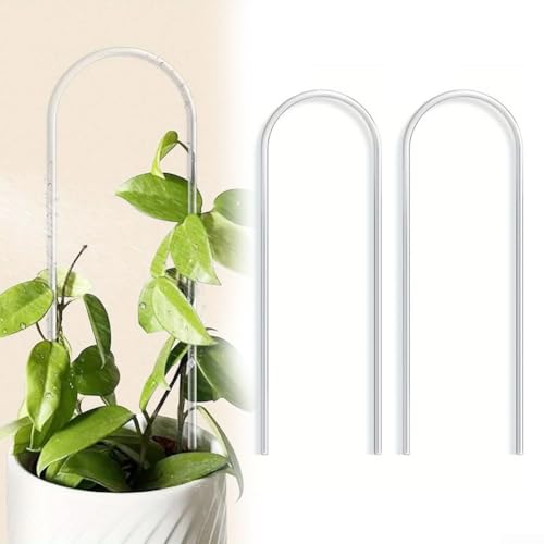 Acryl Pflanze Klettergerüst U-Form Rankhilfe Rankhilfe für Indoor Reben Blumen Monstera Efeu Glyzinie Hoya Unterstützung Transparent von GLOBALHUT