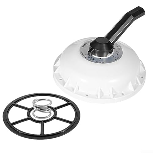 Schwimmbadventil Top Assembly 272422, mit Umstelldichtung 272409 und Feder 272400, für Pentair für FNS Plus Quad Poolfilter von GLOBALHUT