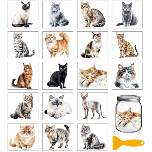 GLOBLELAND 18 Blatt Niedliche Katzen Rub On Sticker Realistische Katzen 3.9x3.6 Zoll Transferaufkleber Rub On Folie Aufkleber Aesthetic Für Möbel Glas Holz Fotoalbum DIY Aufkleberästhetik von GLOBLELAND