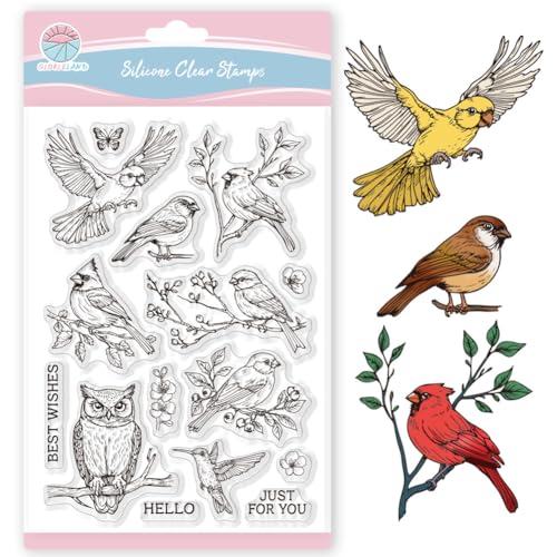 GLOBLELAND Realistische Vögel Klare Stempel Für Scrapbooking Eulen Papageien Silikonstempel Spatz Kolibri Transparenter Stempel Für Die Kartengestaltung DIY Prägung Journaling von GLOBLELAND