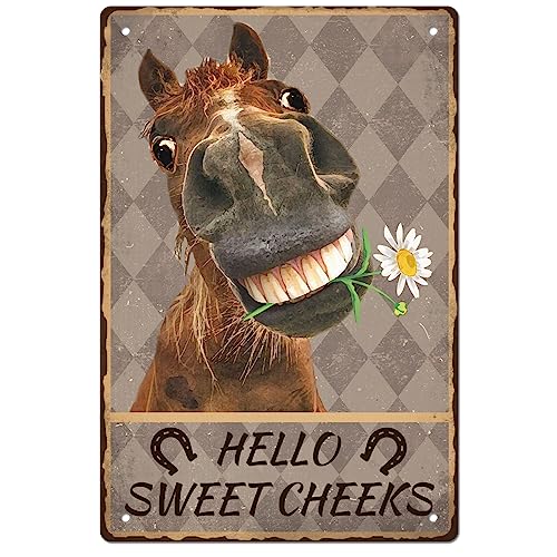 GLOBLELAND Vintage-Metall-Pferd-Blechschild Lustiges Retro-Metallwanddekor „Hello Sweet Cheeks“ Dekoratives Blechschild Kunstplakette Poster 8,12 x (5),(1) cm Für Zuhause Küche Bar Café Club von GLOBLELAND