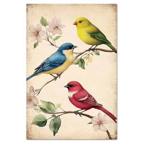 GLOBLELAND Vogel Blechschild Kirschblüten Blumen Metall Blechschild Blätter Zweig Metall Vintage Schild 12×8 Zoll Lustige Wanddekoration Blechschilder Für Zuhause Bauernhof Bar Café Club Dekoration von GLOBLELAND