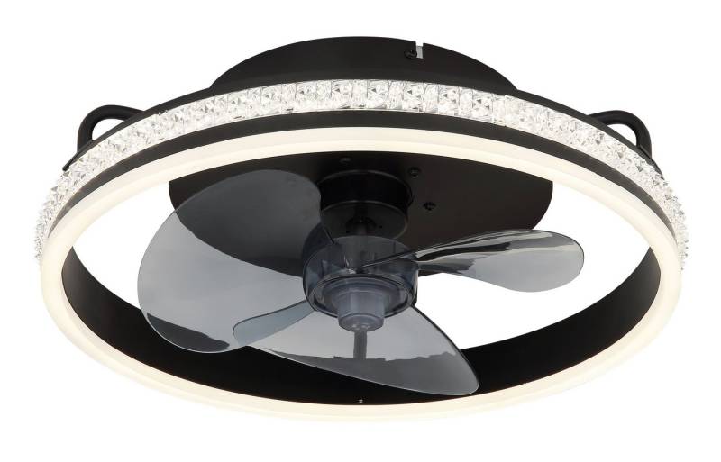 GLOBO LIGHTING Deckenleuchte CATALEYA, Dimmfunktion, Fernbedienung, Infrarot inkl., Memoryfunktion, Timerfunktion, Ventilatorfunktion, mehrere Helligkeitsstufen, LED fest integriert, warmweiß - kaltweiß, Deckenventilator, Deckenlampe, moderner Ventilator von GLOBO LIGHTING