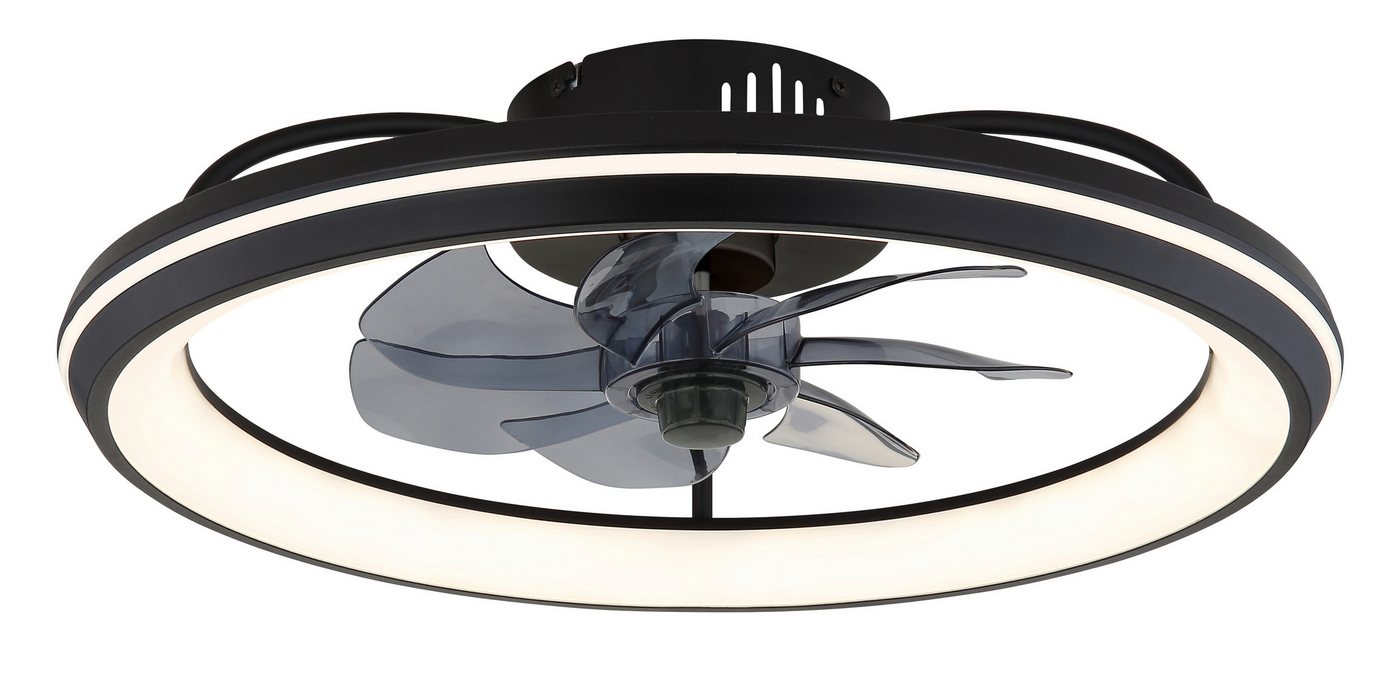 GLOBO LIGHTING Deckenleuchte CELESTE, Dimmfunktion, Memoryfunktion, Nachtlichtfunktion, Timerfunktion, Ventilatorfunktion, mehrere Helligkeitsstufen, LED fest integriert, warmweiß - kaltweiß, Deckenventilator, Deckenlampe, moderner Ventilator GLOBO LIGHTING Deckenleuchte CELESTE, Dimmfunktion, Memoryfunktion, Nachtlichtfunktion, Timerfunktion, Ventilatorfunktion, mehrere Helligkeitsstufen, LED fest integriert, warmweiß - kaltweiß, Deckenventilator, Deckenlampe, moderner Ventilator von GLOBO LIGHTING