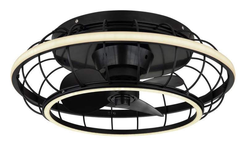 GLOBO LIGHTING Deckenleuchte LINAY Deckenventilator, CCT - über Fernbedienung, Dimmer, Dimmfunktion, Farbsteuerung, Timerfunktion, Ventilatorfunktion, dimmbar über Fernbedienung, mehrere Helligkeitsstufen, LED fest integriert, Ventilator Metall schwarz matt, LED von GLOBO LIGHTING