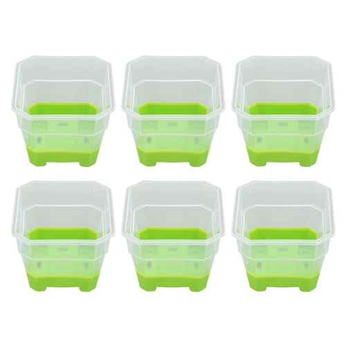 20 Stk. Mehrwegtöpfe Kunststoff Silikon Quadratisch Durchsichtig Blumentöpfe für Schulei Sorten Set mit Transparenter Muster, Quadratisches Design für Häuser, von GLOGLOW