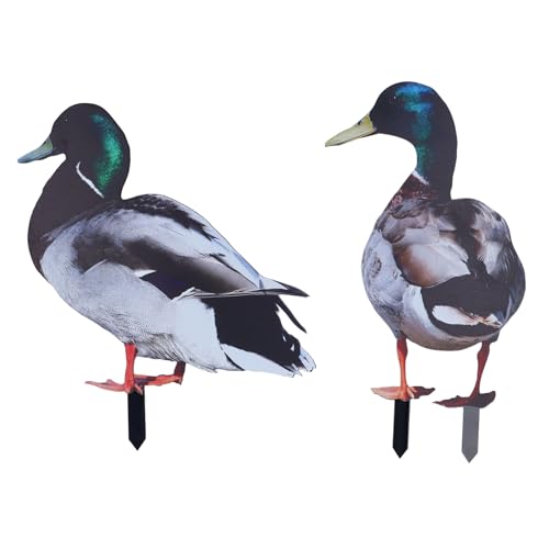 3 Stücke Acryl Enten Einsätze, 3D-Effekt Dekorative Garten Einsätze Simulierte Ente Boden Einsätze Außen Ornament Einsatz für Patio Garten (YKLU095A+B) von GLOGLOW