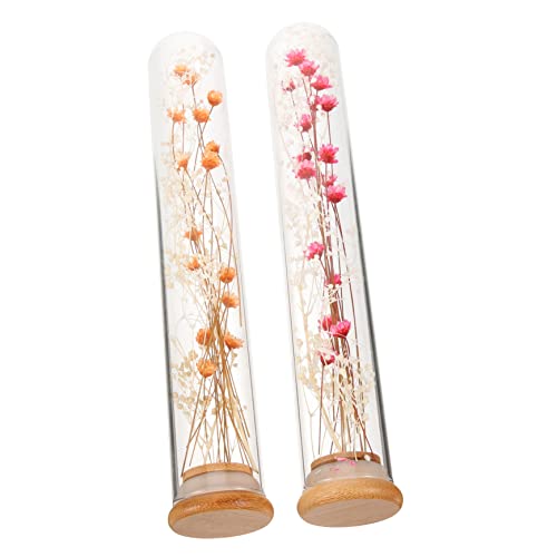 GLSTOY 2 Stück Everlasting Flower Wishing Vase Home Desktop Getrocknete Blumendekor Natürliche Getrocknete Blumen Requisiten Getrocknete Blumen DIY Schmücken Trockene Blumen DIY von GLSTOY