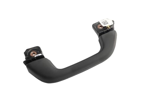 GM Originalteile 84700940 Mittelsäule für Beifahrerseite, Tiefschwarz GM Originalteile 84700940 Mittelsäule für Beifahrerseite, Tiefschwarz von GM GENUINE PARTS