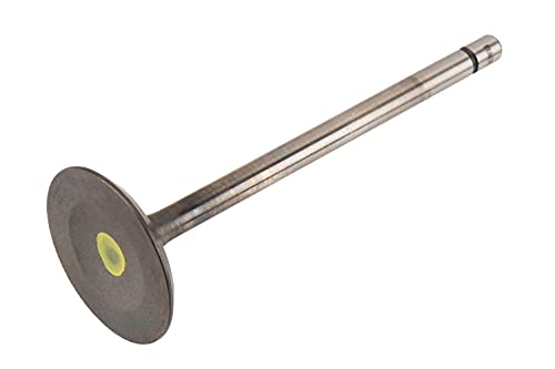 GM GENUINE PARTS 12620501 Motoreinlassventil, Stahl oder Aluminium, Poppet Ventil, Automotive-Engine-Intake-Valves, Ventil GM GENUINE PARTS 12620501 Motoreinlassventil, Stahl oder Aluminium, Poppet Ventil, Automotive-Engine-Intake-Valves, Ventil von GM GENUINE PARTS