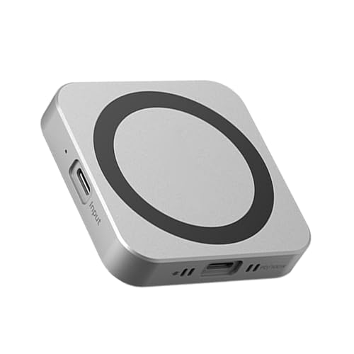 GMBYLBY Magnetische NVME Solid Scheibe Gehäusebox Für Einfache Installation USB 3.1 10 Gbit/S Geschwindigkeitsdatenübertragung PD100W Schnell von GMBYLBY