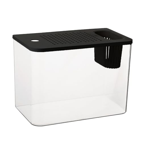 Modernes auslaufsicheres Aquarium mit kindersicherem Deckel und Pflanzenhalter, für Zuhause, Büro, Schreibtisch, Fischschale von GMBYLBY