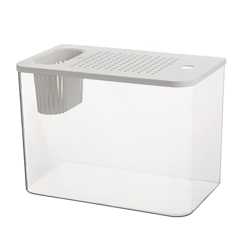 Modernes auslaufsicheres Aquarium mit kindersicherem Deckel und Pflanzenhalter, für Zuhause, Büro, Schreibtisch, Fischschale von GMBYLBY