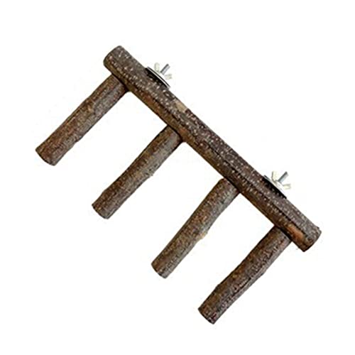 GMBYLBY Vogelspielzeug Barsch Leiter Papagei Holzschleife Für Käfig Kuscheln Spielzeug Kleine Mittlere Vögel Papageien Leicht Zu Installieren GMBYLBY Vogelspielzeug Barsch Leiter Papagei Holzschleife Für Käfig Kuscheln Spielzeug Kleine Mittlere Vögel Papageien Leicht Zu Installieren von GMBYLBY