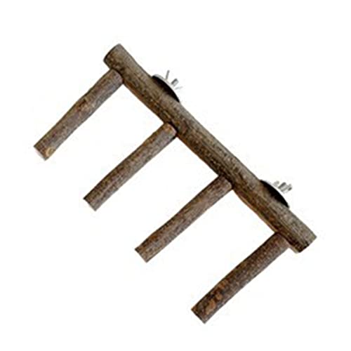 GMBYLBY Vogelspielzeug Barsch Leiter Papagei Holzschleife Für Käfig Kuscheln Spielzeug Kleine Mittlere Vögel Papageien Leicht Zu Installieren von GMBYLBY