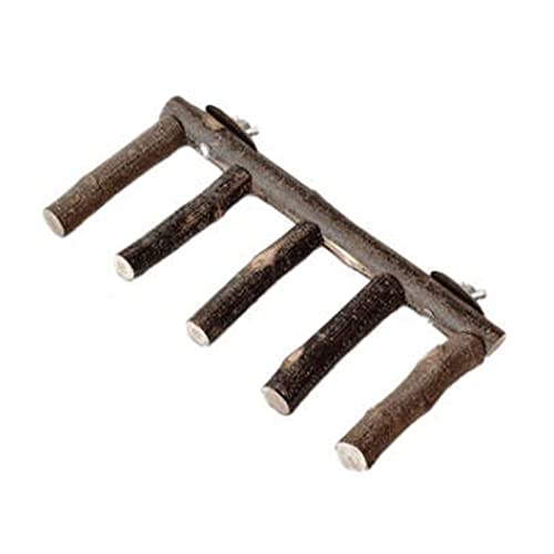 GMBYLBY Vogelspielzeug Barsch Leiter Papagei Holzschleife Für Käfig Kuscheln Spielzeug Kleine Mittlere Vögel Papageien Leicht Zu Installieren GMBYLBY Vogelspielzeug Barsch Leiter Papagei Holzschleife Für Käfig Kuscheln Spielzeug Kleine Mittlere Vögel Papageien Leicht Zu Installieren von GMBYLBY