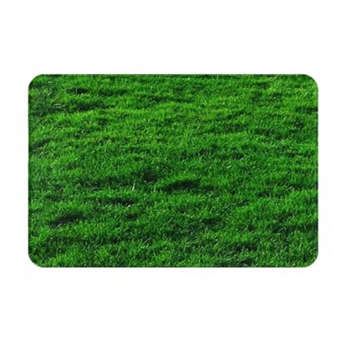 GMGQJST FußMatte Anti-Rutsch-Fußmatte Bodenmatte Waschbarer Teppich Teppich for Küche Eingang Home Schlafzimmer Footpad Matten GMGQJST FußMatte Anti-Rutsch-Fußmatte Bodenmatte Waschbarer Teppich Teppich for Küche Eingang Home Schlafzimmer Footpad Matten von GMGQJST