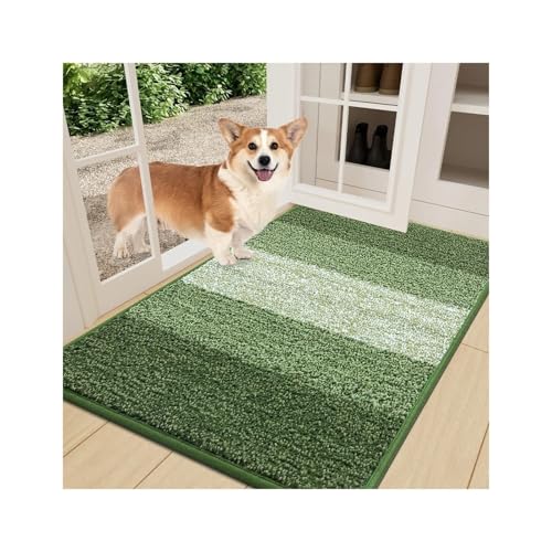 GMGQJST FußMatte rutschfeste, niedrigflorige Eingangsmatte for den Innenbereich, waschbare Matten for den Vordereingang, saugfähig, schmutzabweisend, Eingangsteppiche(Green,61x120cm) von GMGQJST