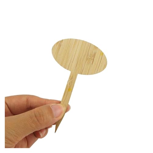 Pflanzenschilder 30 stücke Garten Blume Pflanze Etiketten Zeichen Tags Stand Marker Gemüse T Typ for Kindergarten Töpfe Garten Mark Werkzeuge(Color: 4) von GMGQJST