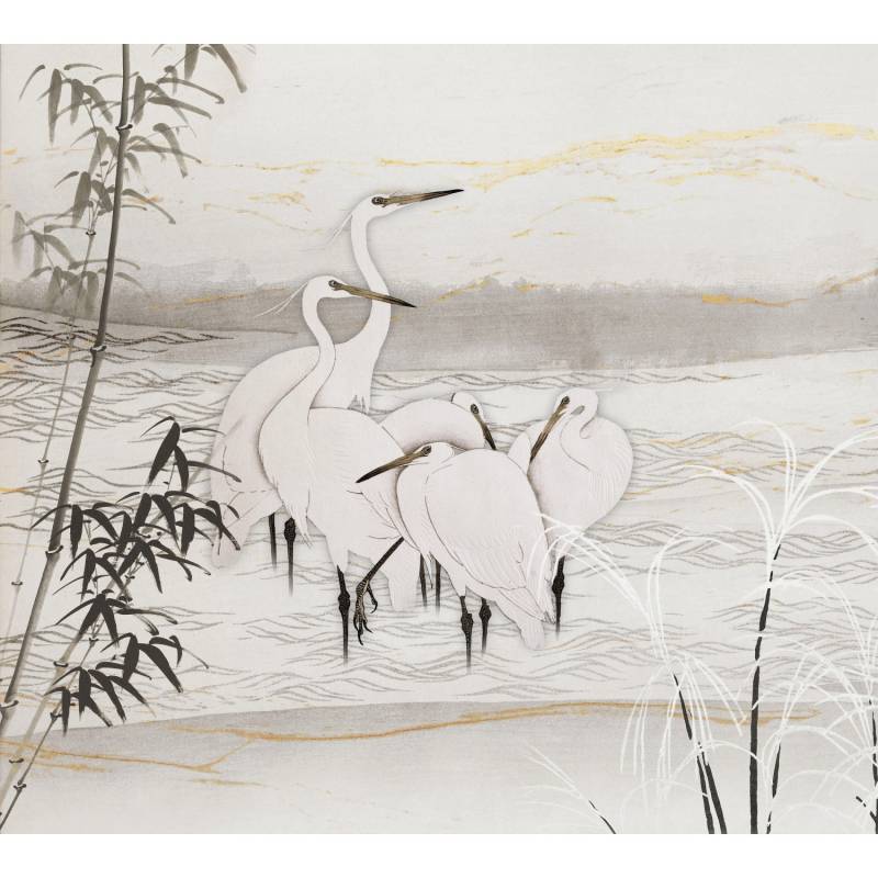 Erismann Fototapete Guido Maria Kretschmer Birds of Asia Weiß 3,0m x 2,7m von GMK