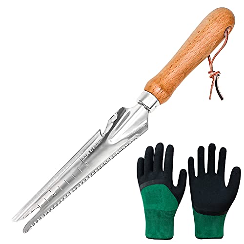 Unkrautjäter Edelstahl Unkrautjäter Garten Hand Weeder mit Holzgriff Unkrautjäte Länge 33 cm Garten Unkraut Jäten Werkzeug für Garten, Umstoßen, Umpflanzen, Jäten, Entwurzel von GMMG