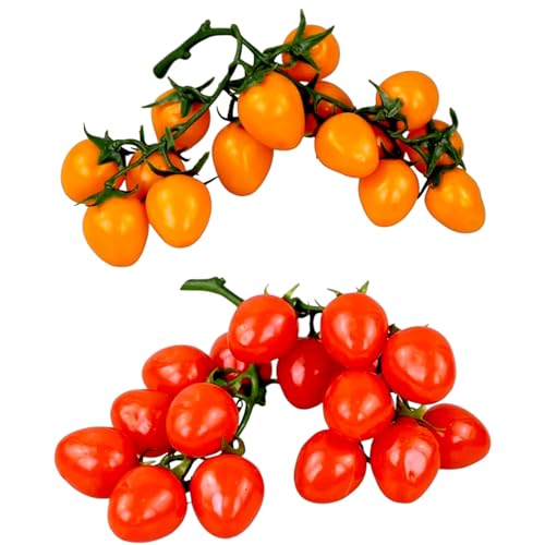 Deko Cherry Tomaten im Bund Kunstobst Kunstgemüse Künstliches Obst Gemüse Dekoration, Realistische Kirschtomaten Faux (2er Set) von GMMH