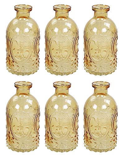 Dekoflasche Glasflasche 6 Stück Korkenglas Korkengläser Deko Apotheke Flasche Likörflasche Apothekerglas Vintage Glas (orange) von GMMH
