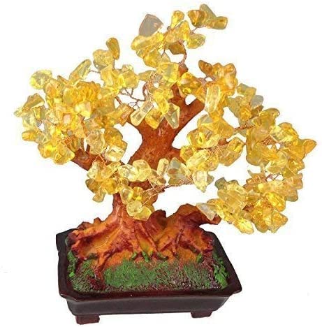 Feng Shui Glücksbaum 25 cm Geldbaum Bonsai Pfennigbaum Handarbeit Stein von GMMH