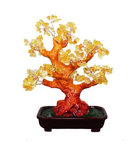 Feng Shui Glücksbaum 25 cm Geldbaum Bonsai Pfennigbaum Handarbeit Stein von GMMH