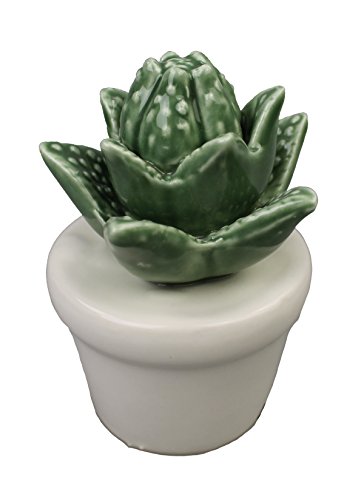 GMMH Kaktus aus Keramik Kakteen Modelle wählbar Deko Dekovase Vase Keramik (22-9 Höhe 10 cm) von GMMH