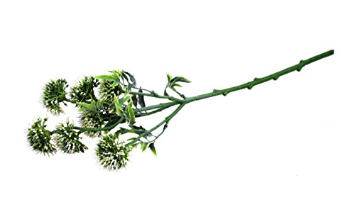 GMMH Kunstblumen Blumenstrauß Ziergrassär Grünpflanze Distel Dorn Wilde künstliche Beerenzweig Blumen Hochzeit Party (Disteldorn weiß 50 cm) von GMMH