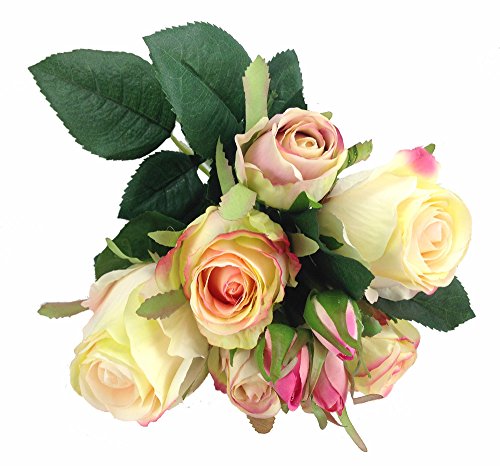 GMMH Rosen Bund 30 cm Seidenblumen Kunstblumen Rose Hochzeit Blumenstrauß (Creme Rosa) von GMMH