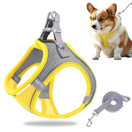 Hundegeschirr Kleine Hunde, Welpengeschirr Step-in Geschirr aus Air Mesh, Anti Zug Reflektierend Atmungsaktiv Brustgeschirr, Hundegeschirr Welpen Katzengeschirr Brustgeschirr (Gelb, L/8.5-10kg) von GMTEO