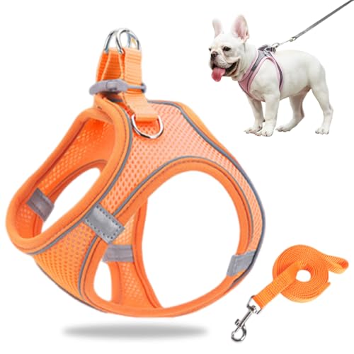 Hundegeschirr Kleine Hunde, Welpengeschirr Step-in Geschirr aus Air Mesh, Anti Zug Reflektierend Atmungsaktiv Brustgeschirr, Hundegeschirr Welpen Katzengeschirr Brustgeschirr (Orange, S/4.5-6.5kg) von GMTEO