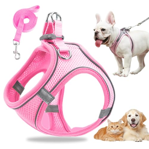 Hundegeschirr Kleine Hunde, Welpengeschirr Step-in Geschirr aus Air Mesh, Anti Zug Reflektierend Atmungsaktiv Brustgeschirr, Hundegeschirr Welpen Katzengeschirr Brustgeschirr (Rosa, M/6.5-8.5kg) von GMTEO