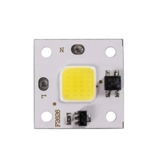 10W COB LED Chip Led Matrix Fit for Scheinwerfer Diode Led Licht Flutlicht Lampe Quelle Smart IC DIY Integrierte lichtquelle AC220V(White light) von GMVGKLCPCF