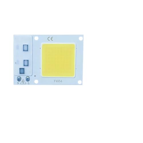 GMVGKLCPCF 10 Stück LED-Chip 20 W 30 W 50 W Smart COB-Lampenperlen LED-Lampe ohne Treiber DIY Outdoor-Chip-Licht-Flutlicht-Scheinwerfer(220V-10PCS-04,Cold White) von GMVGKLCPCF