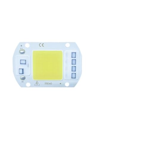 GMVGKLCPCF 10 Stück LED-Chip 20 W 30 W 50 W Smart COB-Lampenperlen LED-Lampe ohne Treiber DIY Outdoor-Chip-Licht-Flutlicht-Scheinwerfer(220V-10PCS-08,Cold White) von GMVGKLCPCF