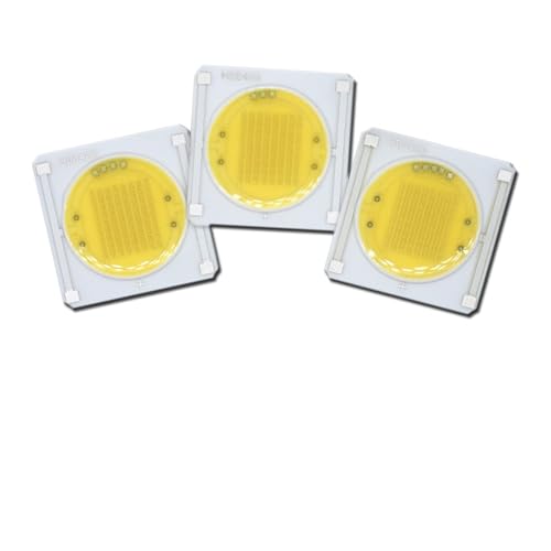 GMVGKLCPCF 10Pcs Led Cob 40W 30W 12W 15W 20W 30W Power Keramik Chips 220v Super Helle for Led Lampe Led-strahler Birne Weiß Led-modul DIY(Coldwhite,40W 10pcs) von GMVGKLCPCF
