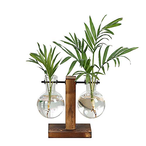 Hydroponik Hängevase Glasvase Blumenvase, Hydroponische Vase Deko Holz Halter mit Hydroponik Glasvase Hängevase Tischvase für Hydrokultur Pflanzen, Zuhause, Büro, Garten, Hochzeit Dekoration von GMWD