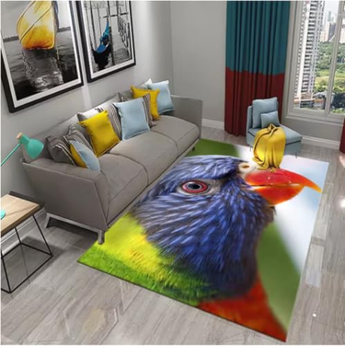 GNALEIEOG Bunter Papageienteppich, Tierblumenteppich, für Küche, Badezimmer, Eingang, rutschfeste Deko-Teppiche, 140 x 200 cm GNALEIEOG Bunter Papageienteppich, Tierblumenteppich, für Küche, Badezimmer, Eingang, rutschfeste Deko-Teppiche, 140 x 200 cm von GNALEIEOG